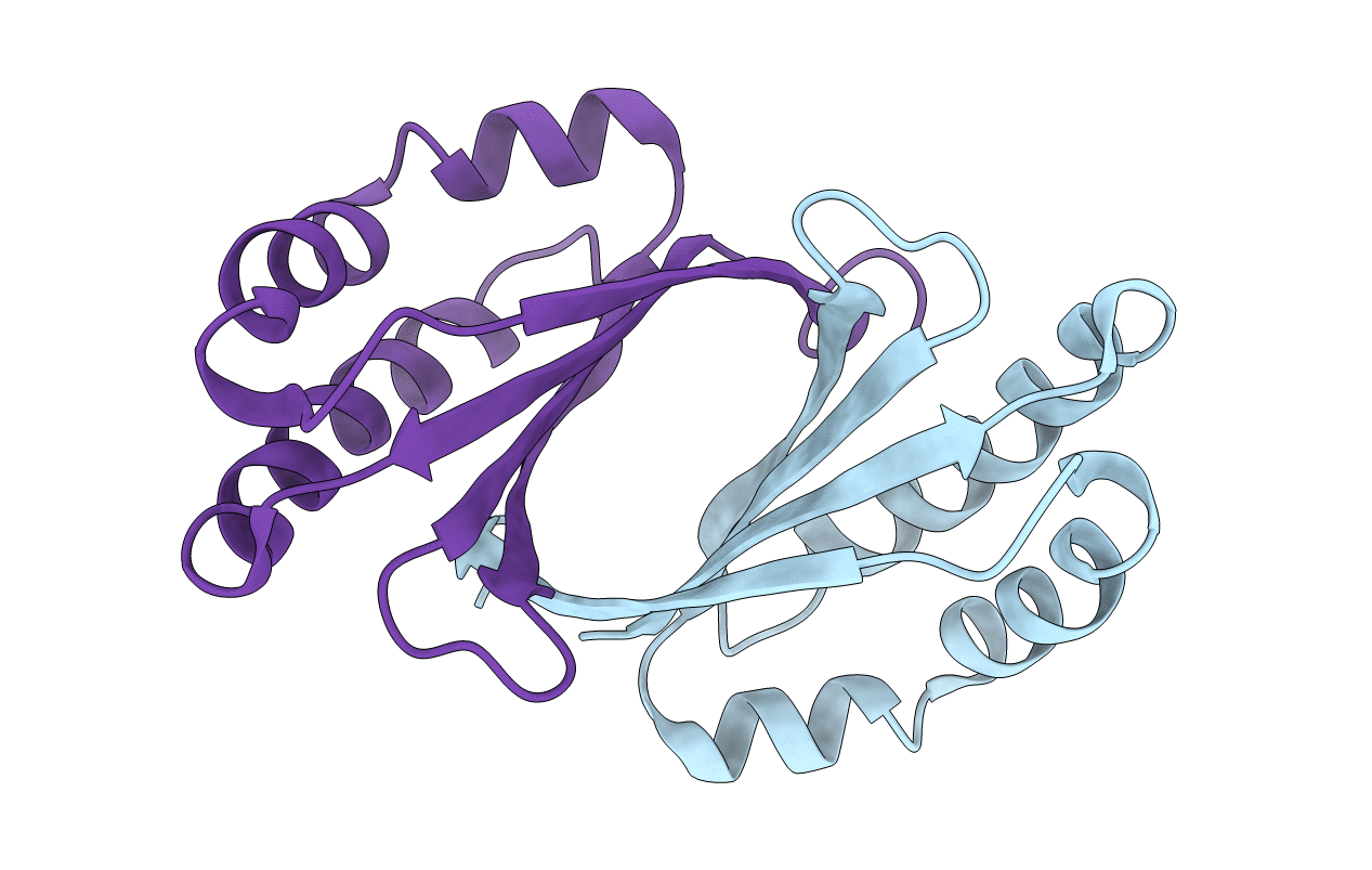 2GFF image