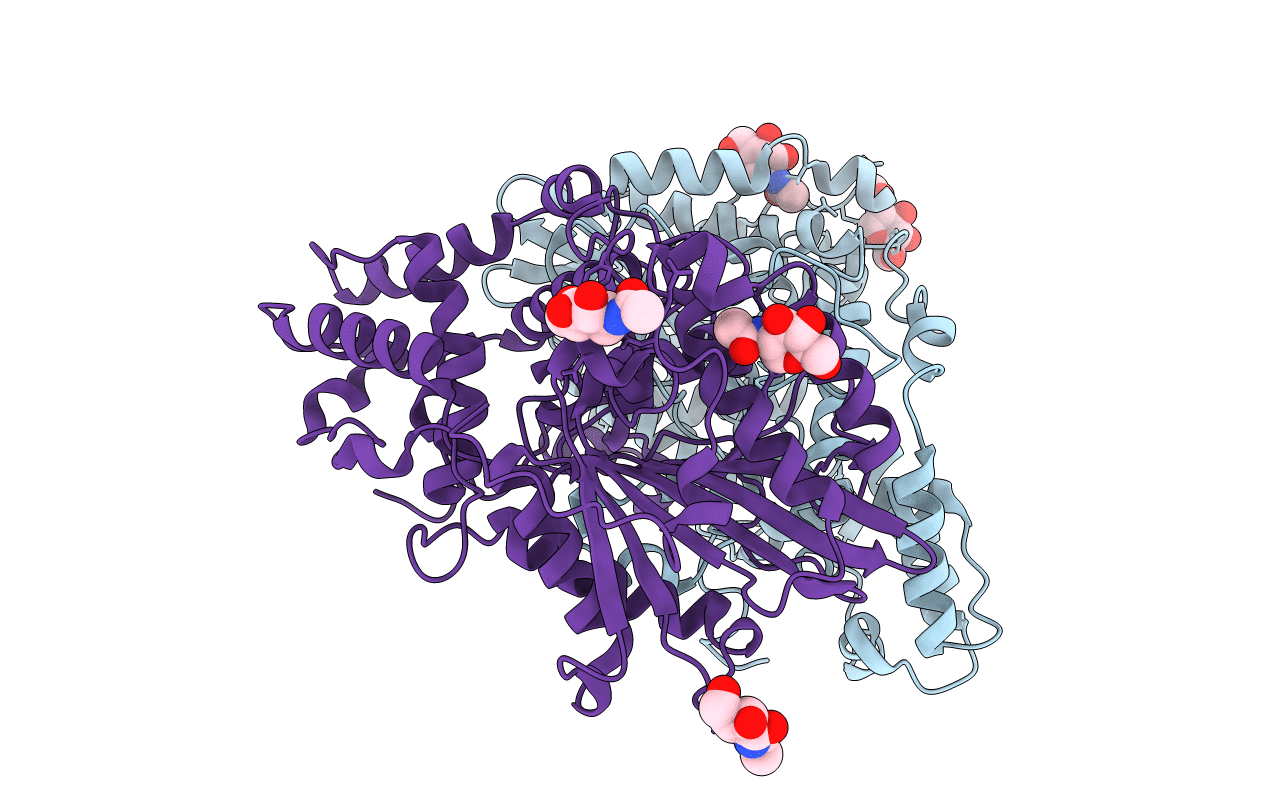 2GFI image