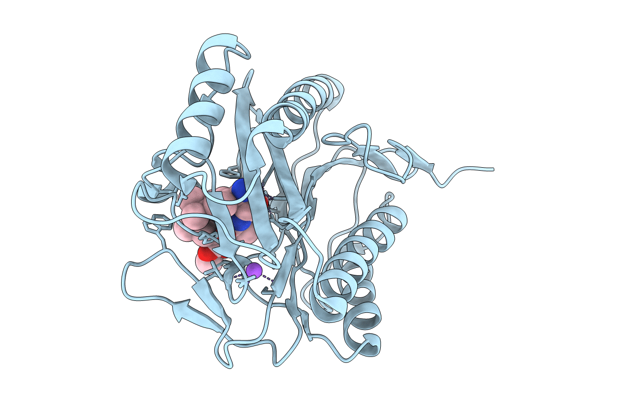 2GG9 image