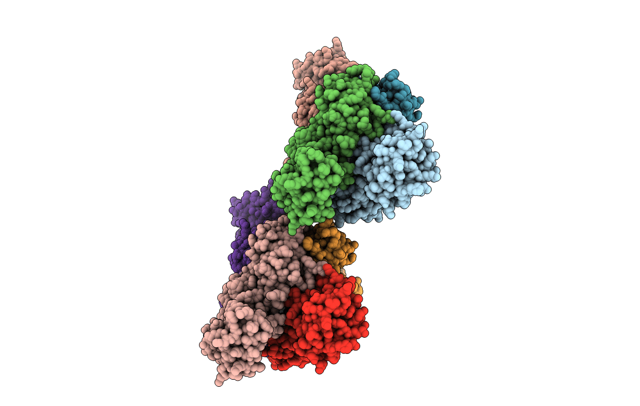 2GHP image