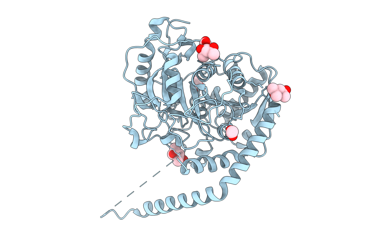 2GI3 image