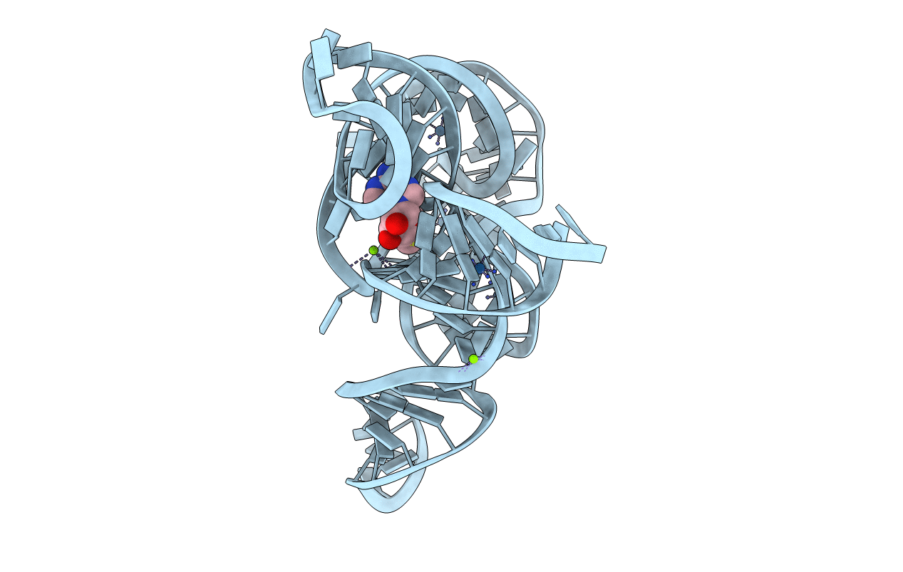 2GIS image