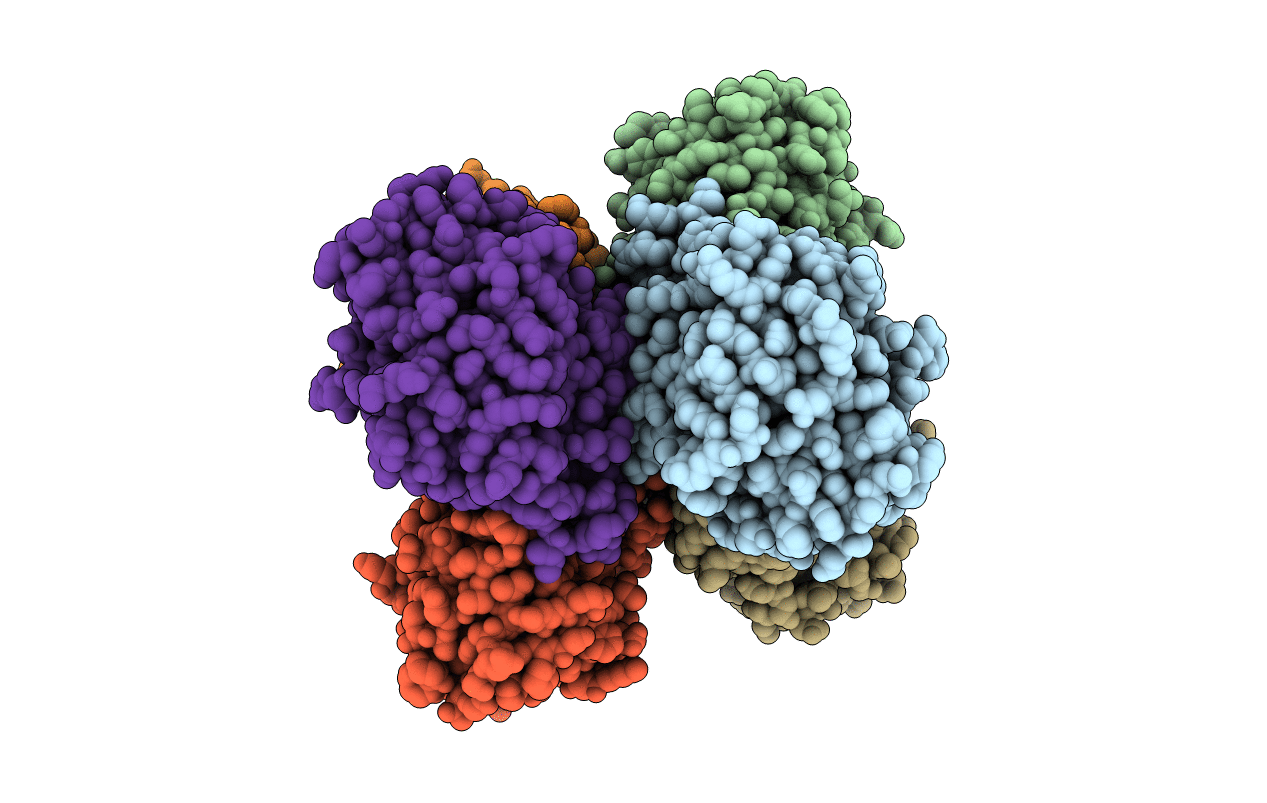 2GK3 image