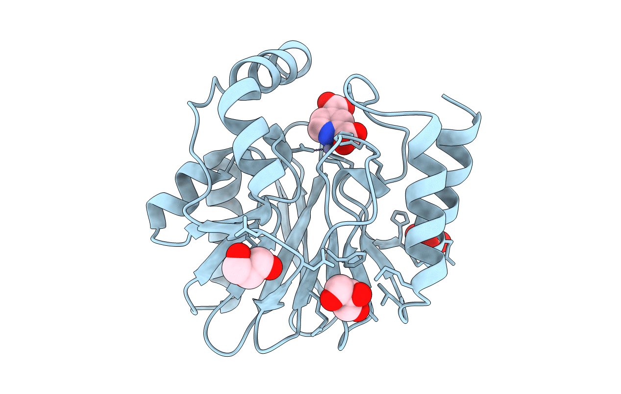 2GKL image