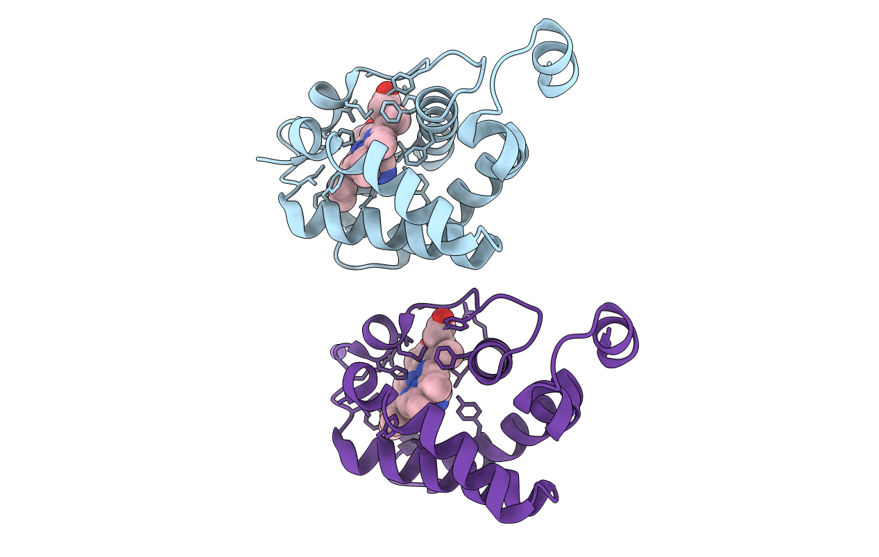 2GKN image