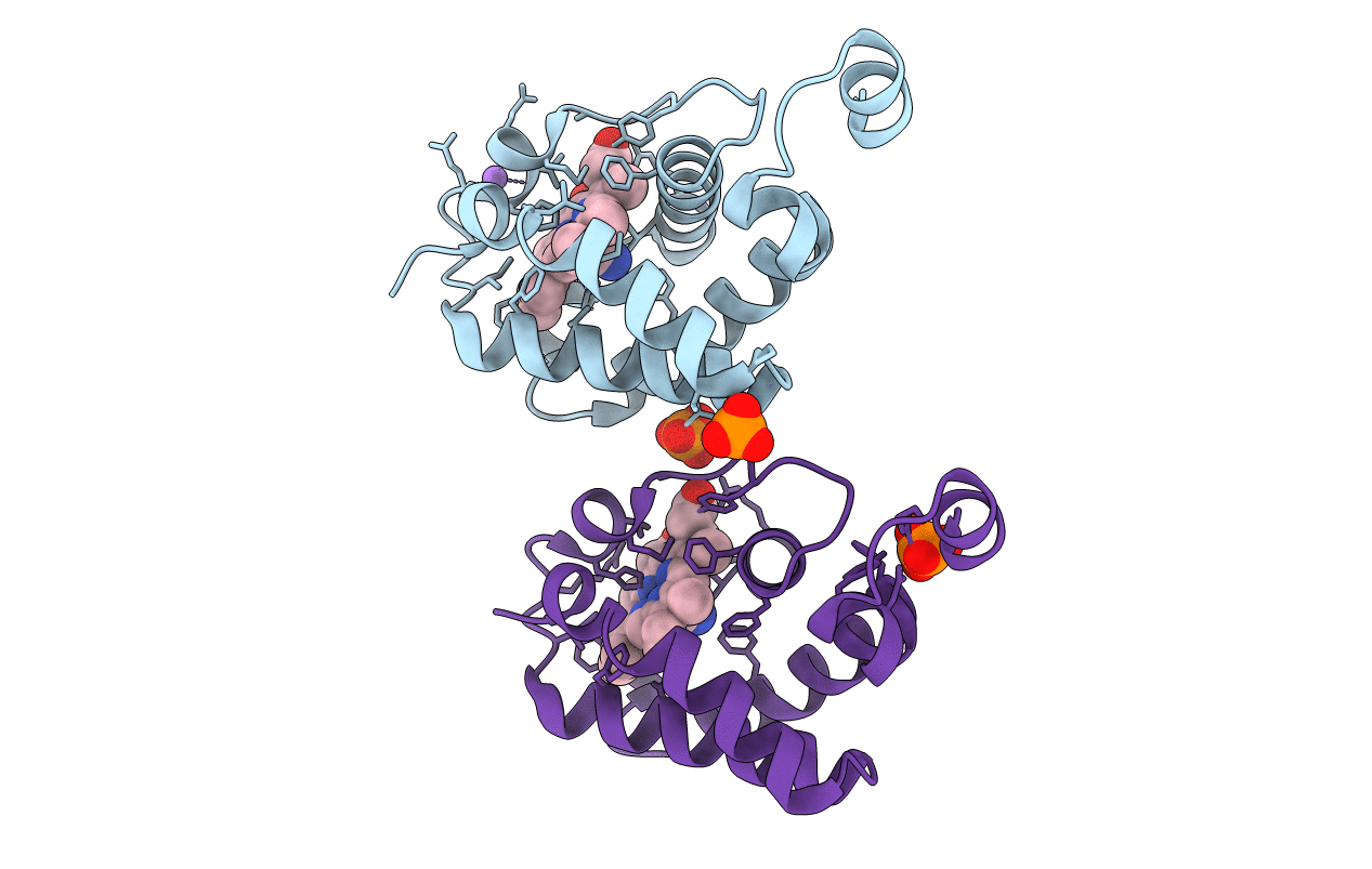 2GL3 image
