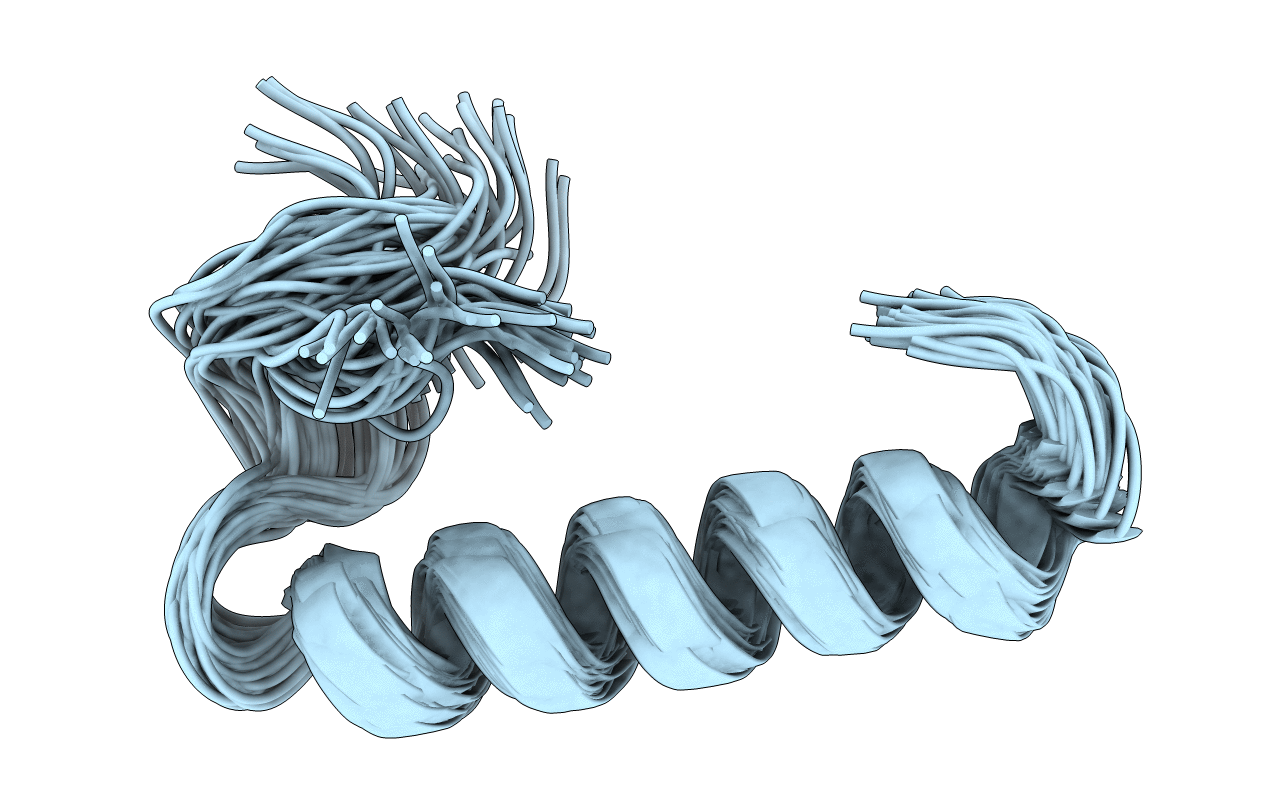 2GLH image