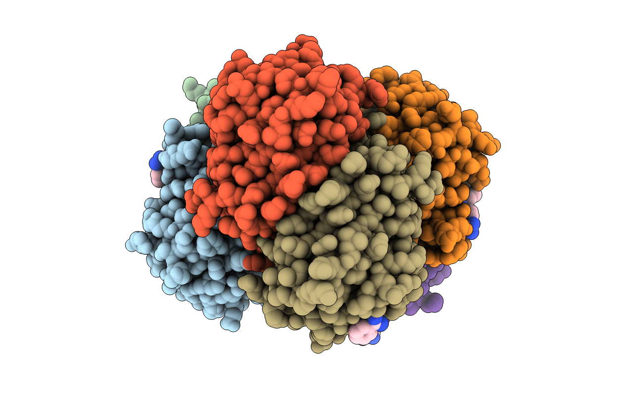 2GLL image