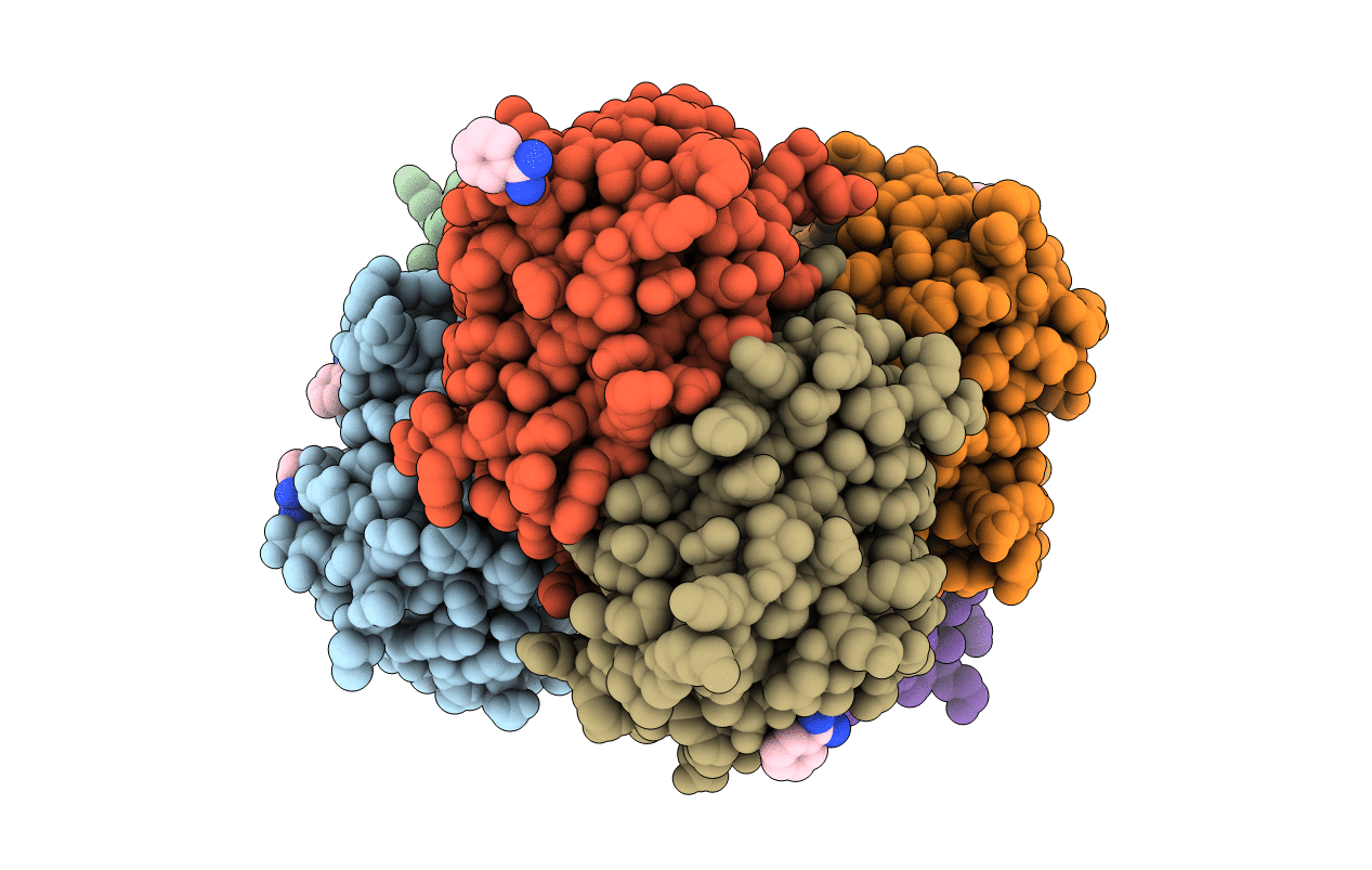 2glm image