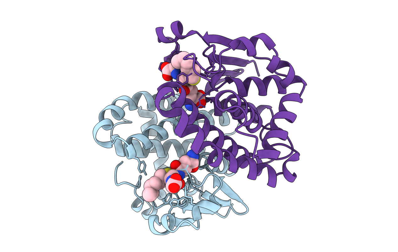 2GLR image