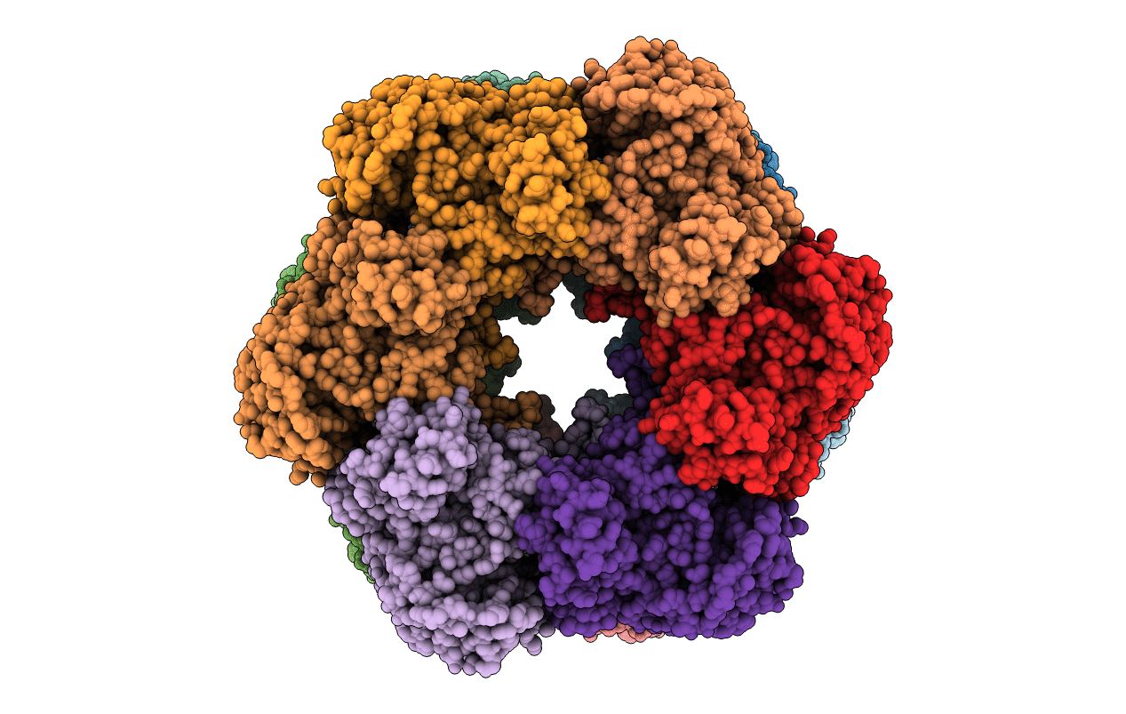 2GLS image