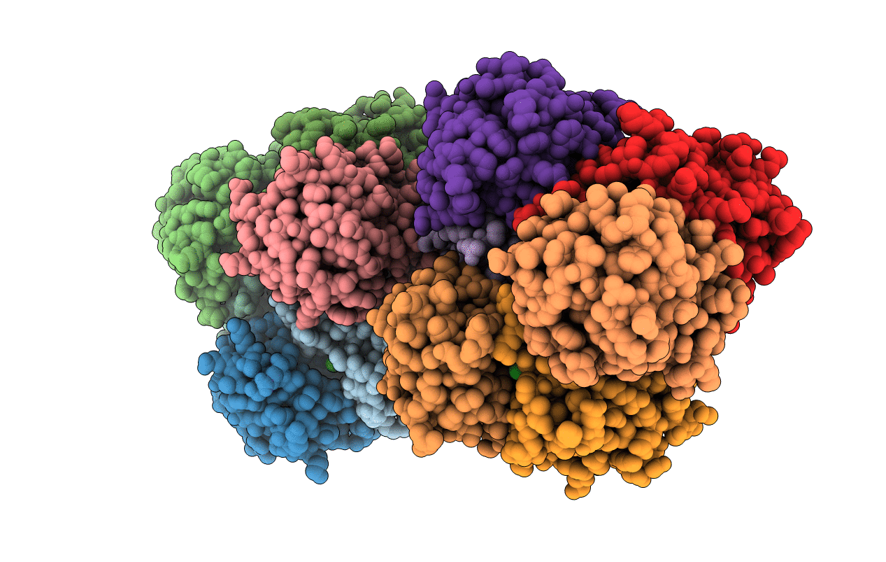 2glv image