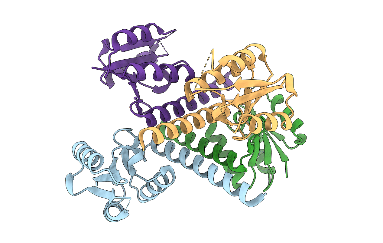 2gm5 image