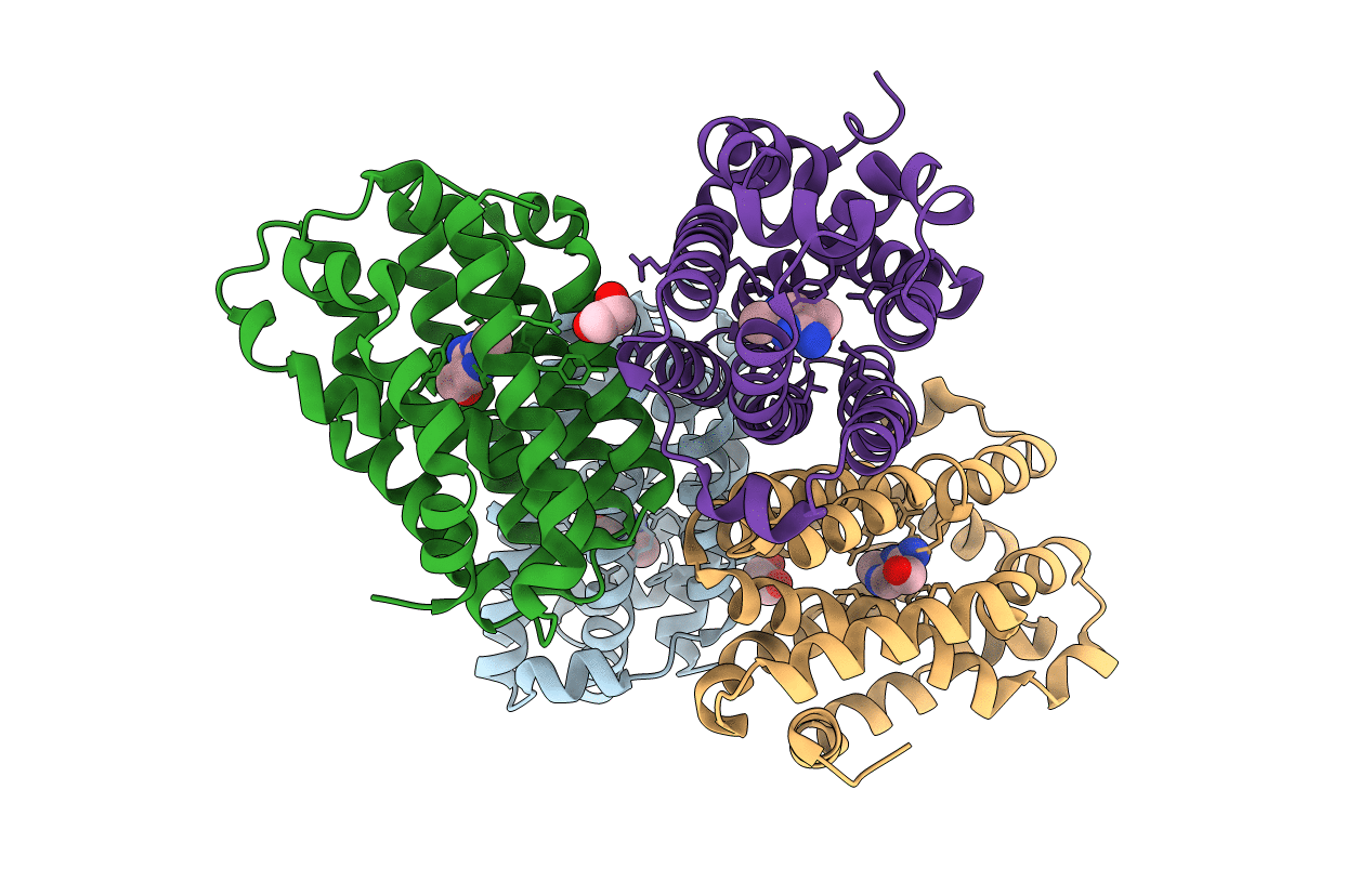 2GM8 image