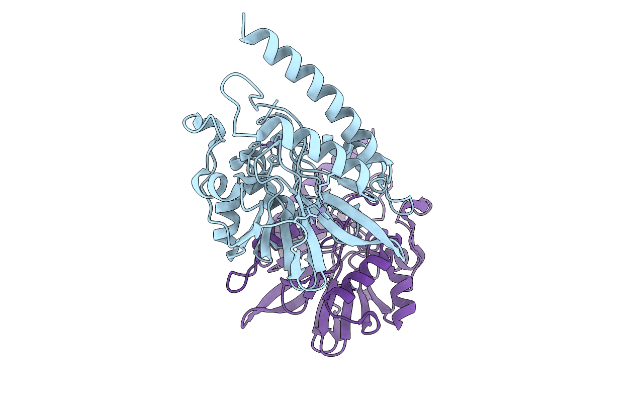 2GMN image