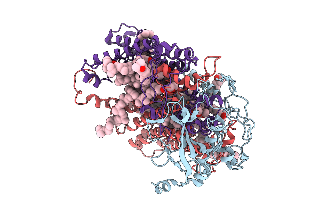 2GMR image