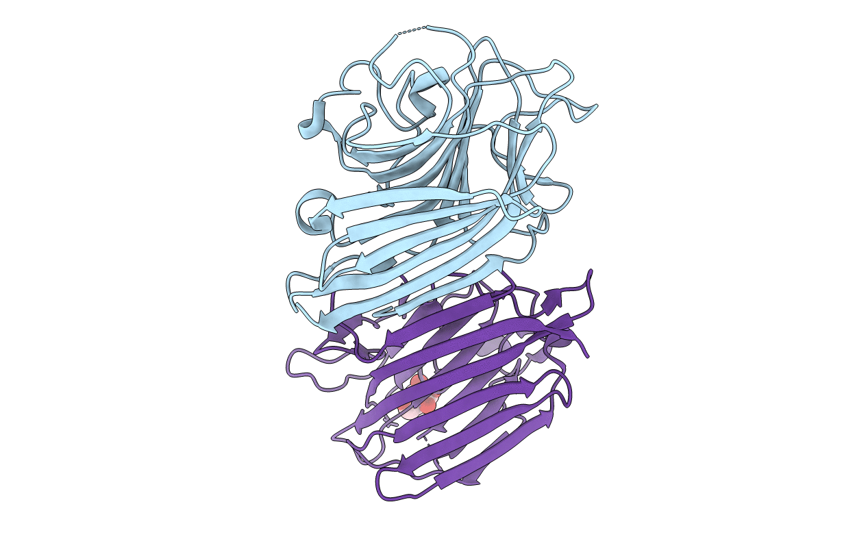 2GNB image