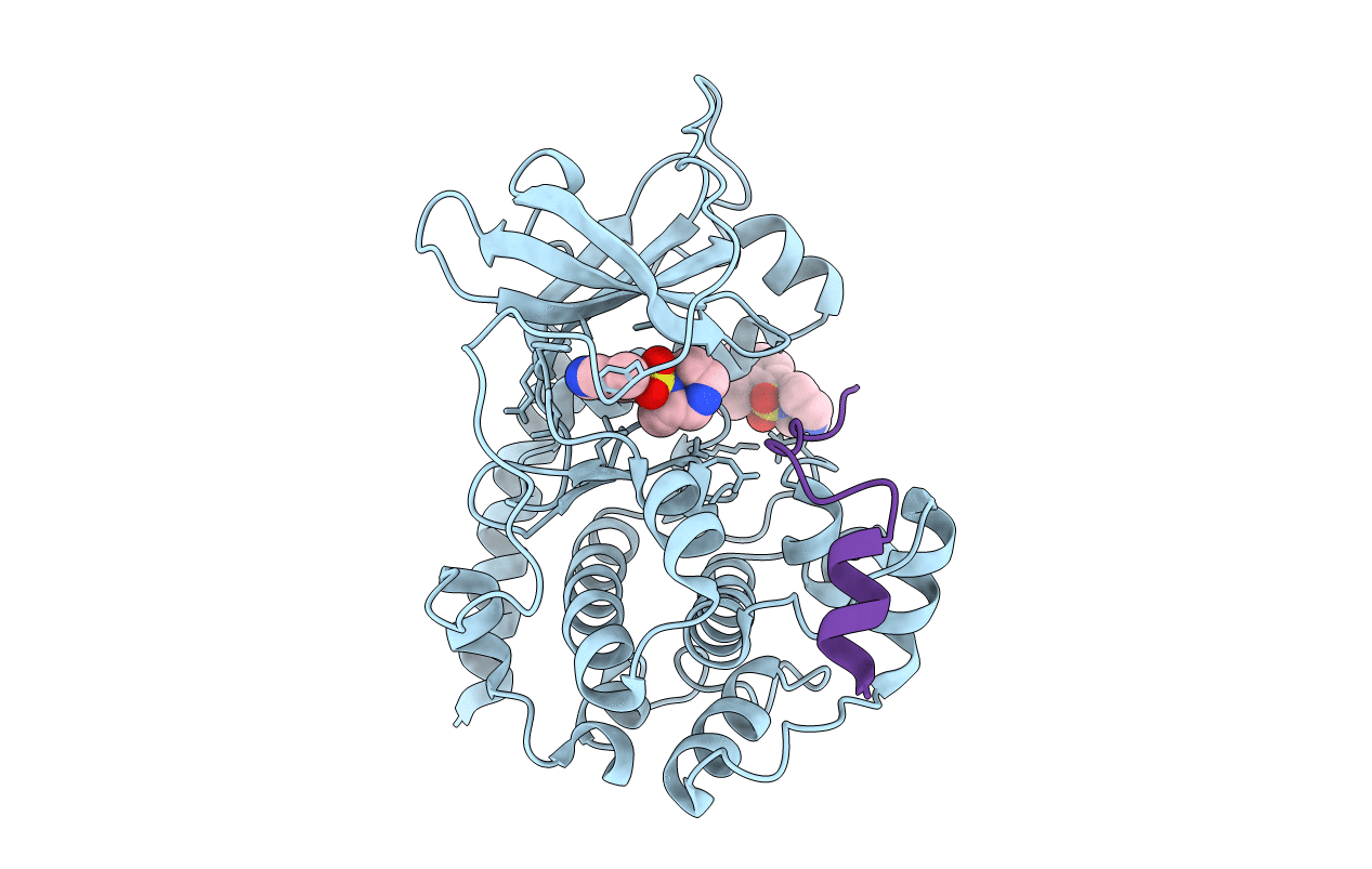 2GNH image