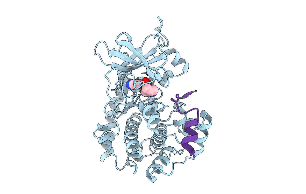 2GNI image