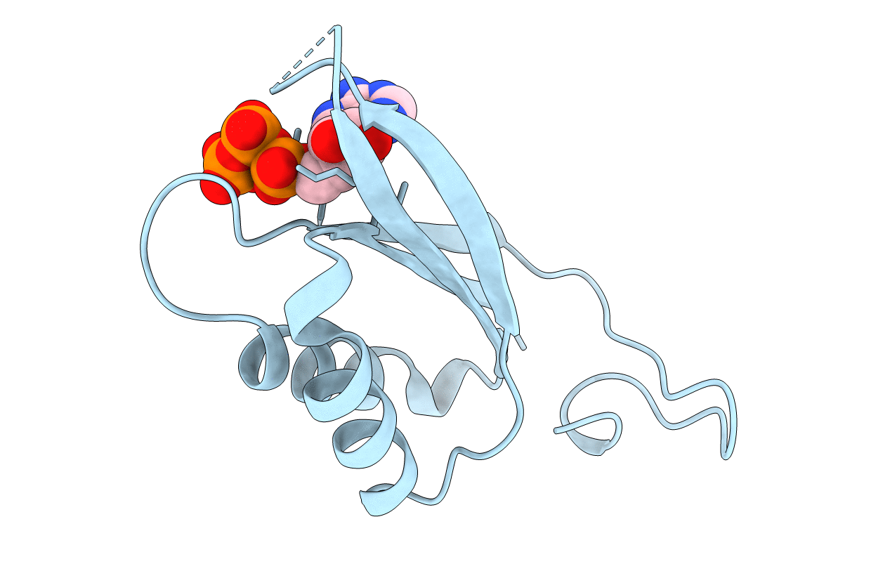 2GNK image