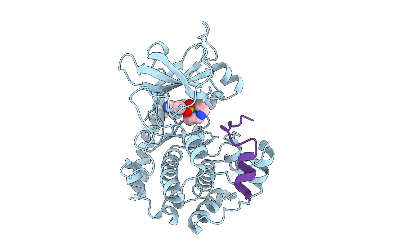 2GNL image