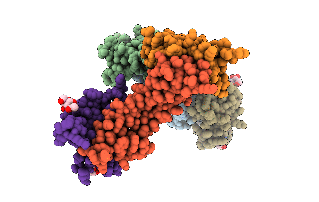 2GOO image