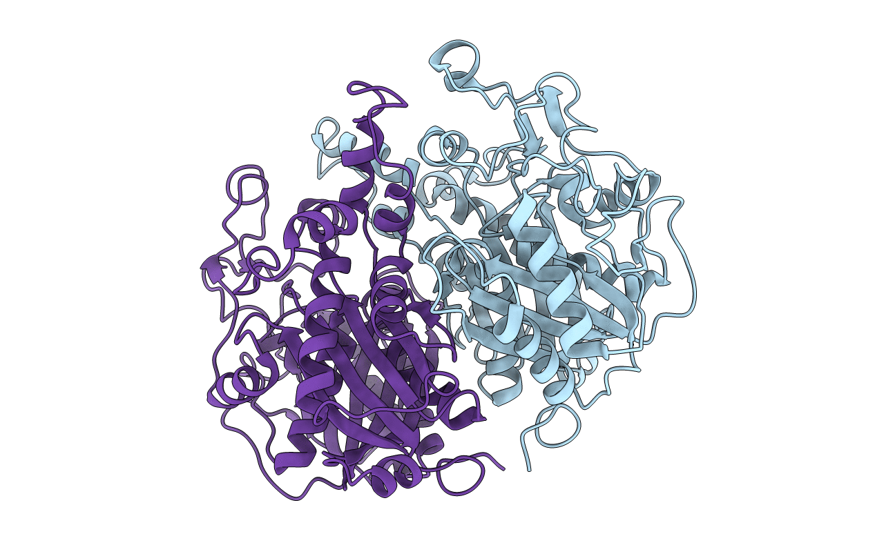 2GP6 image