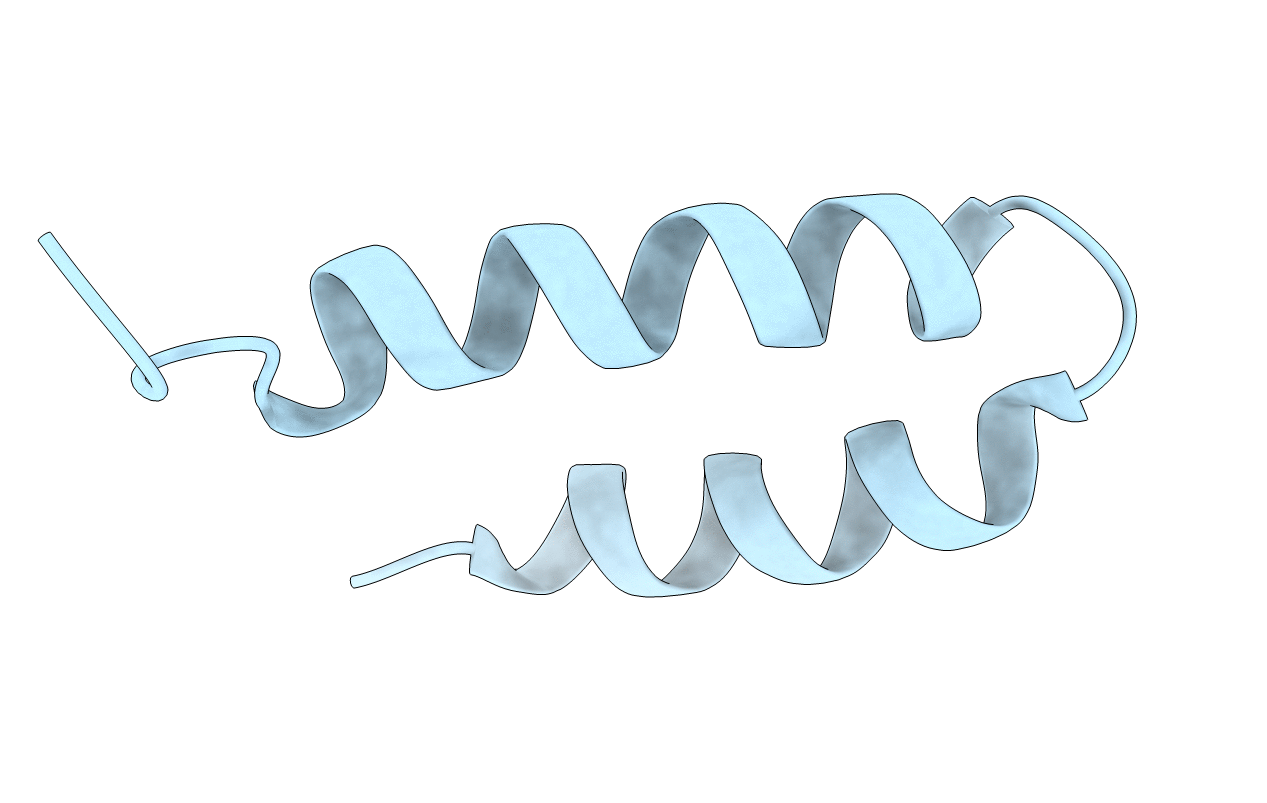 2GP8 image