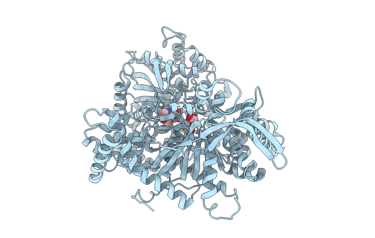 2GPB image