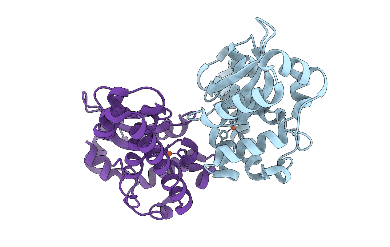 2GPC image