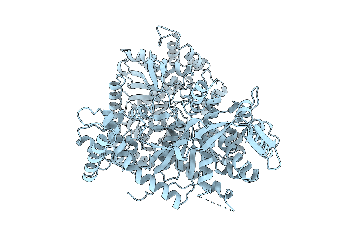 2GPN image