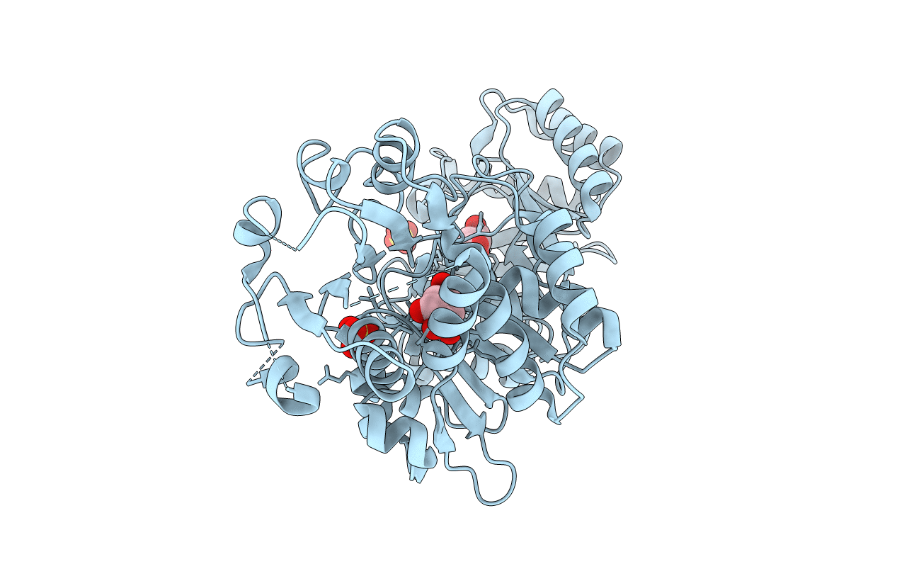 2GPT image