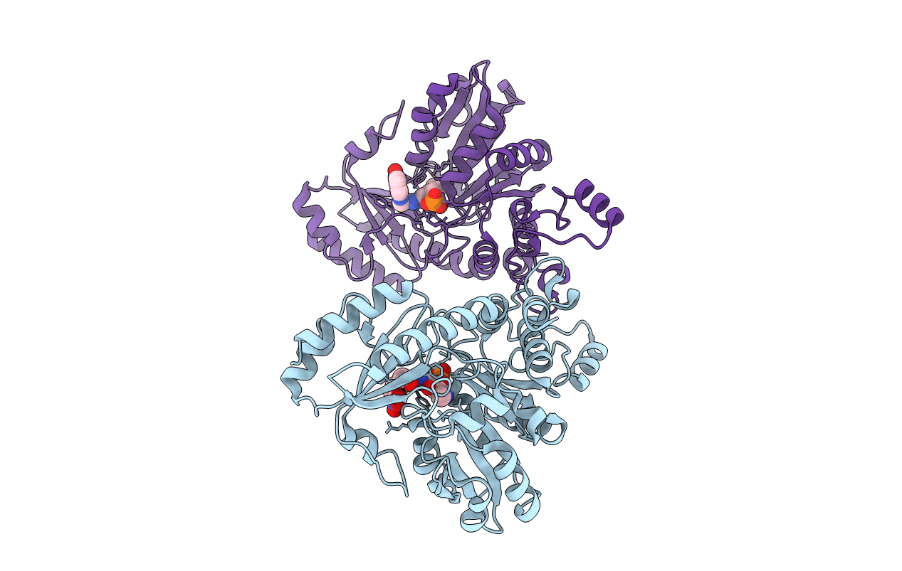 2GQN image