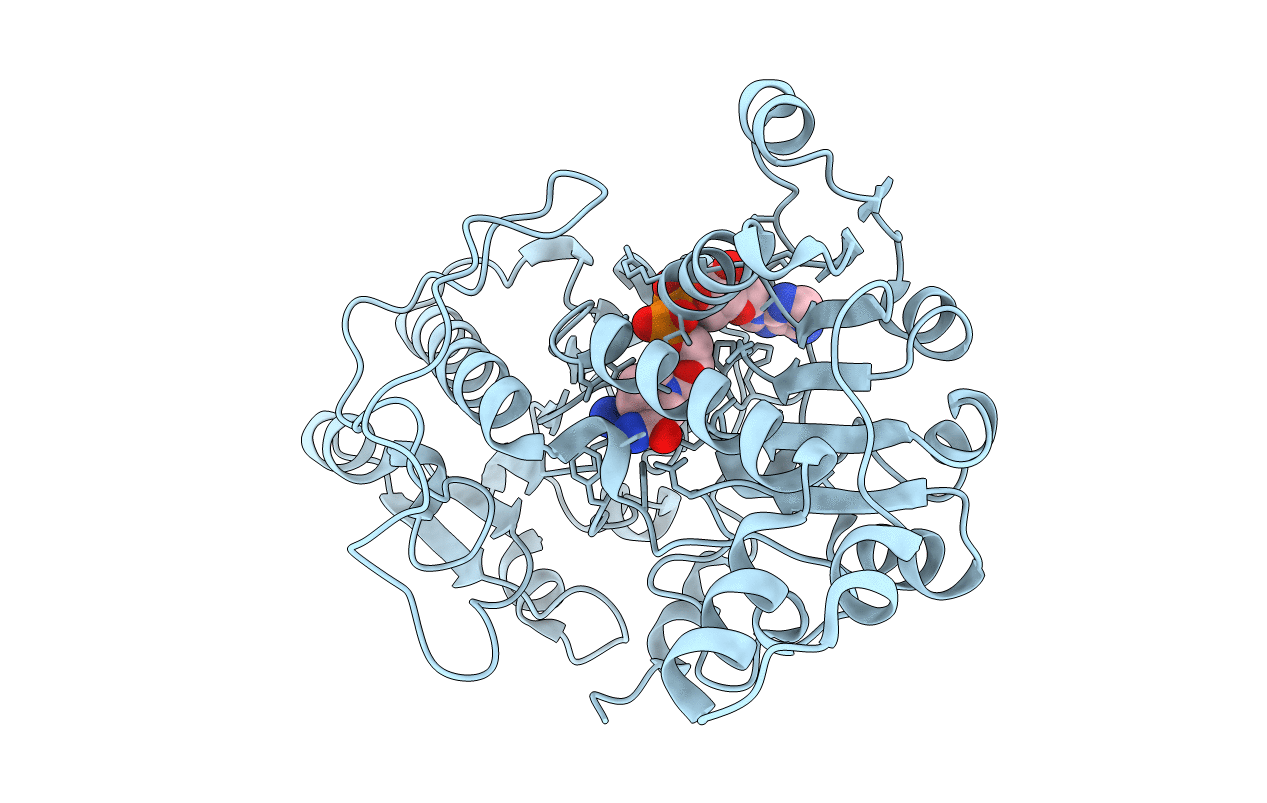 2GSD image