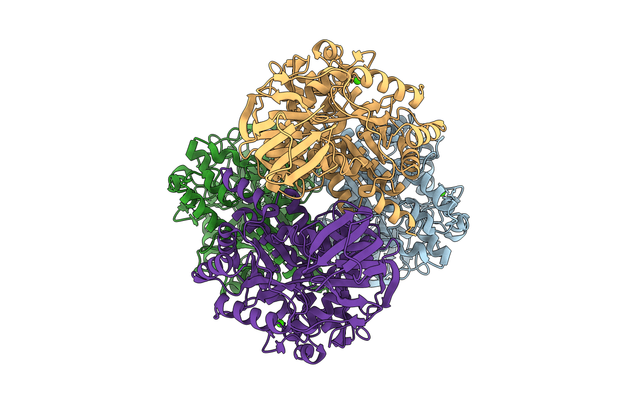 2GSE image
