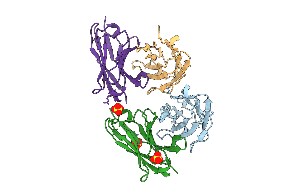 2GSG image
