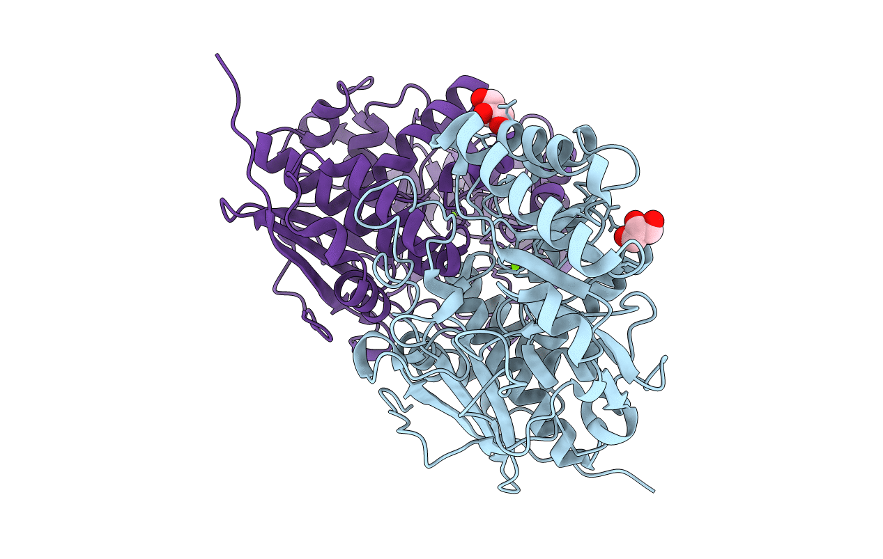 2GSH image