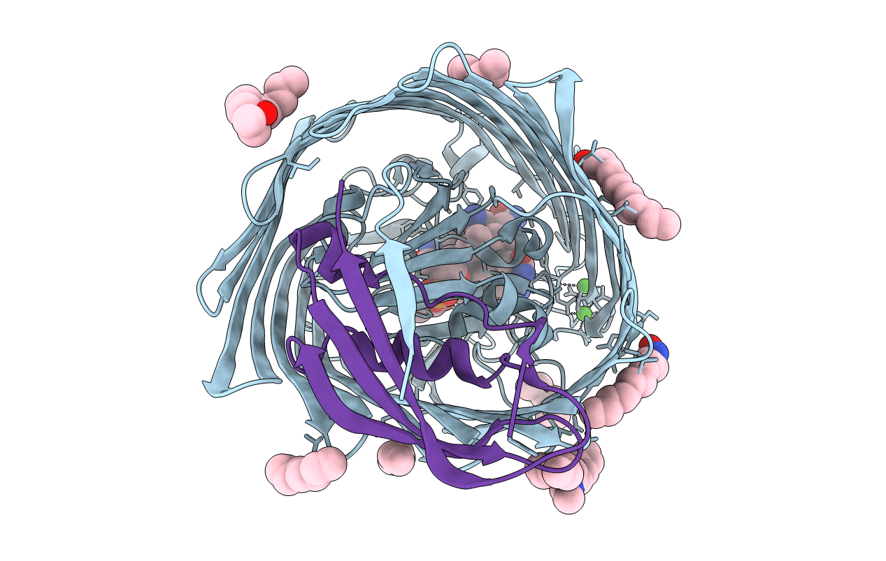 2GSK image