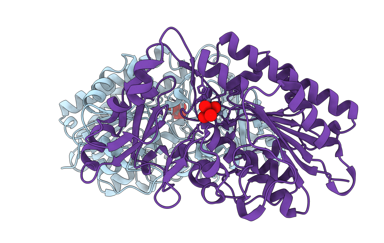 2GSO image