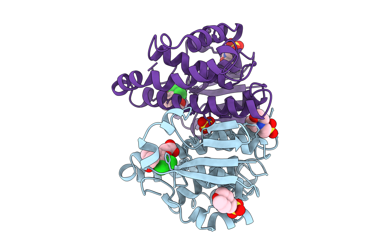 2GSS image