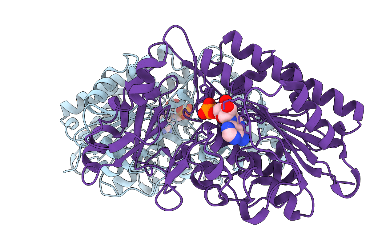 2GSU image