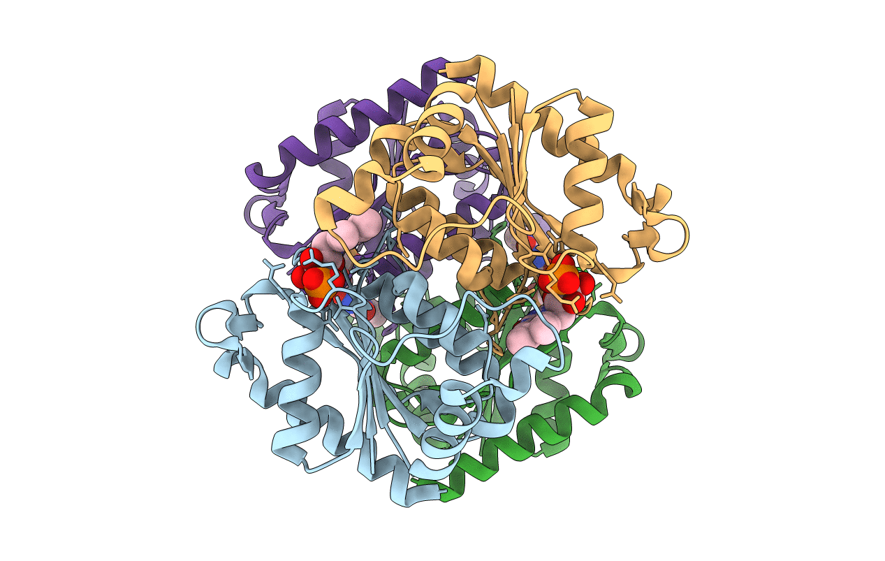 2GSW image