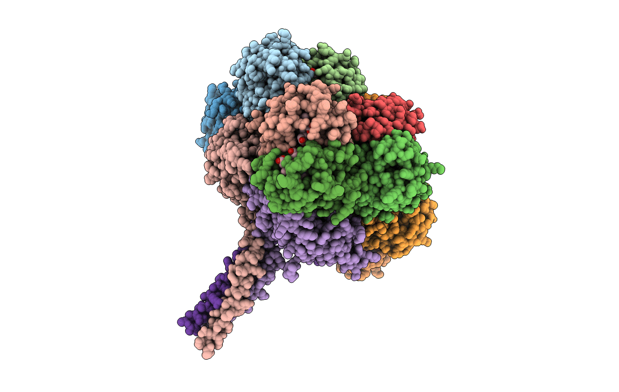 2GTL image