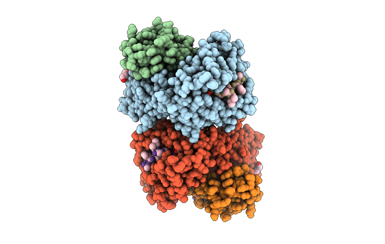 2GTW image