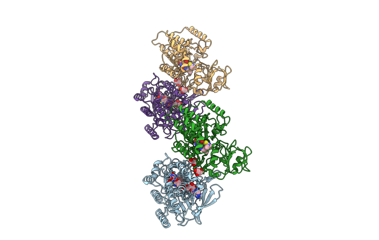 2GVC image