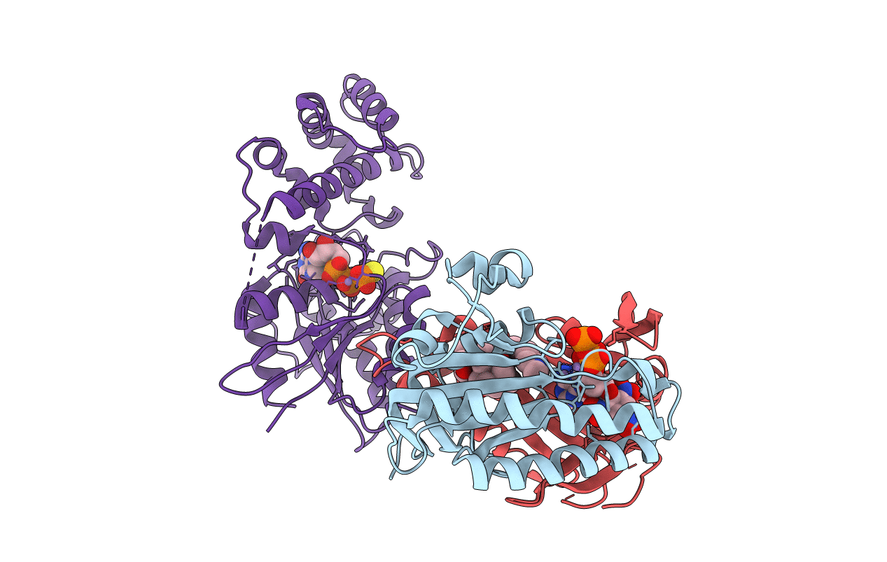 2GVD image
