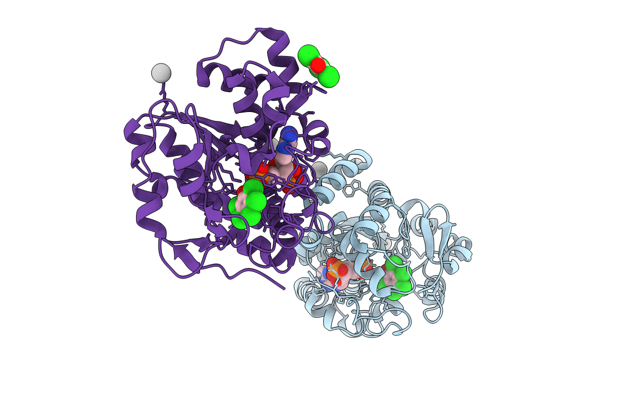 2GWH image