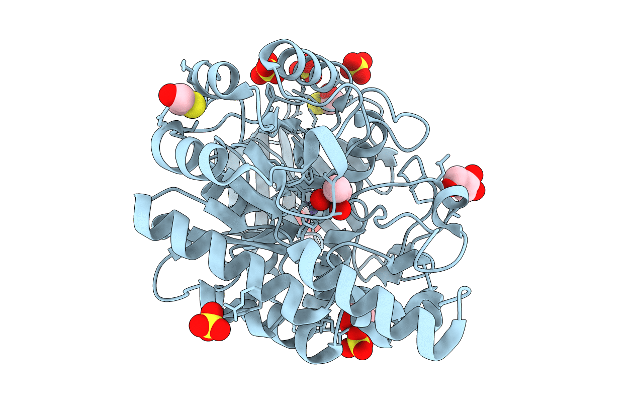 2GWN image