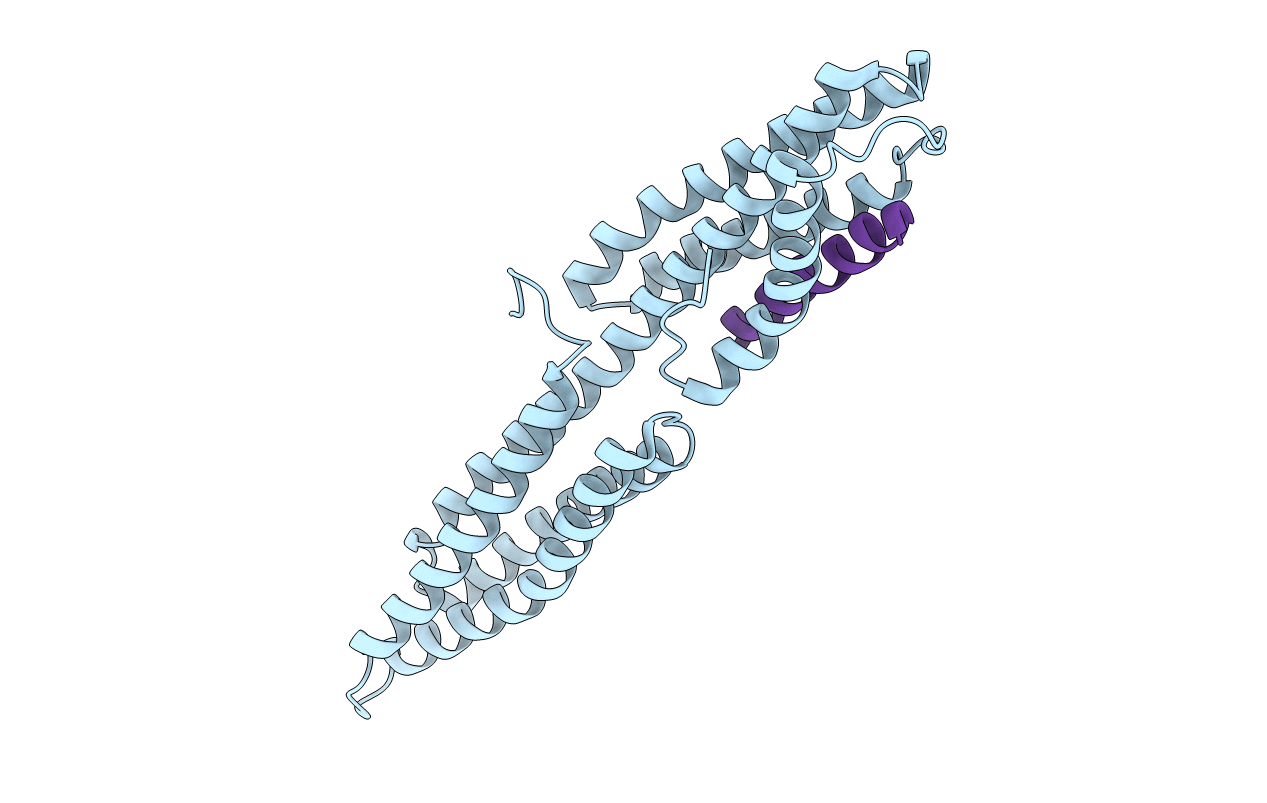 2GWW image