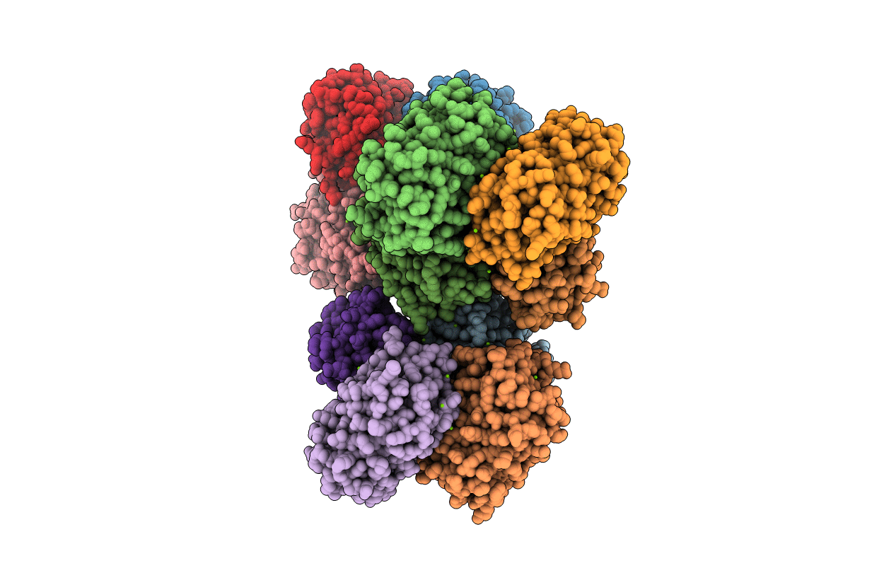 2GX2 image